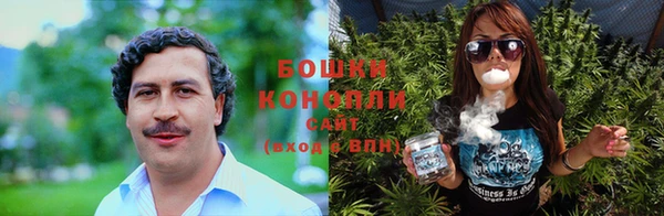 a pvp Ельня