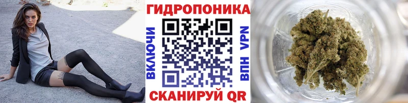 Шишки марихуана OG Kush  купить   Гагарин 